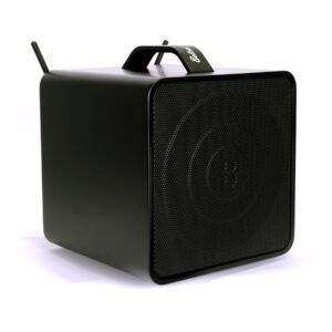 Belcat Compact 40 Watt Two-Channel Rechargeable Wireless PSystem